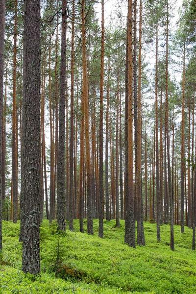 Star Wars: Episode V - The Empire Strikes Back